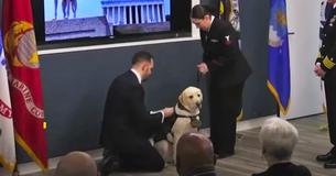 George H.W. Bush’s Service Dog Sully Begins New Job With U.S. Navy