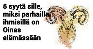 5 syytä sille, miksi jokainen tarvitsee Oinaan elämäänsä