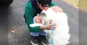 Un chien maltraité était tellement malade qu'il ne pouvait pas être un animal de compagnie - Maintenant, il ne peut s'arrêter d'embrasser son nouveau propriétaire