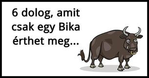 6 dolog, amit csak egy Bika érthet meg