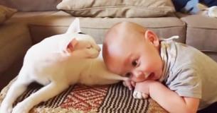 Baby Pulling On Adopted Cat's Leg Makes Mother's Captured Footage Go Viral