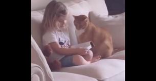 Sweet Moment Little Girl Talks With Family Cat About God