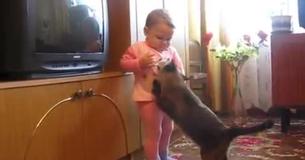 Mama Cat Takes Back Crying Kitten From Kid