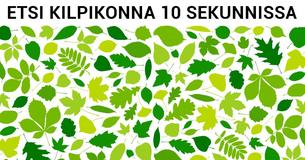 Tämä yksinkertainen testi paljastaa todellisen introvertin
