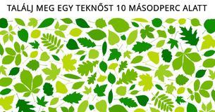 Introvertált vagy-e? - ebből az egyszerű tesztből kiderül