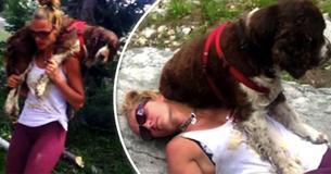 Une femme héroïque parcourt 10 km le long de la colline en portant sur ses épaules un chien blessé et perdu