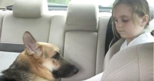 De familie is opgeschrikt als hond 7-jarige aanvalt, totdat ze erachter komen dat hij zichzelf heeft opgeofferd
