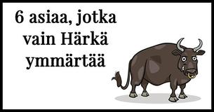 6 asiaa, jotka vain Härkä ymmärtää