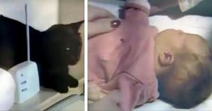 Kat maakt vreemde geluiden via de babyfoon - moeder controleert baby's slaapkamer en sprint naar de telefoon