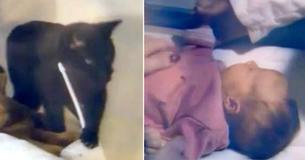 Zwarte kat maakt vreemde geluiden door de babyfoon en als moeder bij baby gaat kijken, grijpt ze haar telefoon