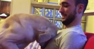 Adorably Guilty Pooch Tries To Say Sorry For Poor Behavior