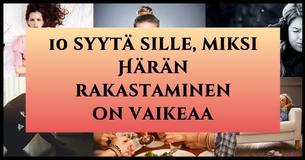 Katseet Härkään: miksi Härän rakastaminen on vaikeaa 