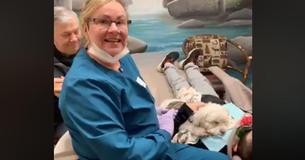7-Year-Old Boy With Three Cavities Instantly Calms Down Once Dentist Puts Therapy Dog On His Lap