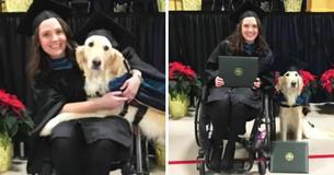 Service Dog Given Honorary Diploma When Owner Graduates University