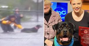Months After Hurricane Florence, Woman Who Saved Terrified Dog From Flood Proclaimed Hero