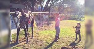 Little Girls Start Dancing To Popular Tune, But It Is The Horse That Steals The Show