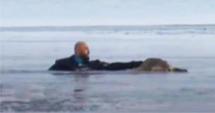 Watch: Heart-Stopping Moment Dog Passed Out On Sheet Of Ice Is Pulled To Safety Barely Alive