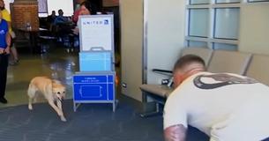 Un soldat se retourne pour retrouver son ancien chien militaire qui court vers lui