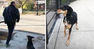 Un type abandonne un chien nerveux au parc pendant 30 minutes et s'évanouit quand des passants l'affrontent
