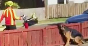 Getuige legt moment vast waarop postbode dichter bij gevaarlijkste hond op straat komt