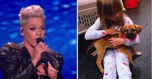 Pink Adopts Puppy While On A Tour Stop In Nashville