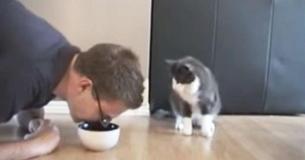 Il fait semblant de manger de la nourriture pour chat et la réaction du chat est la plus drôle