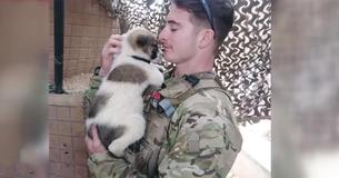 Tough Soldier Who Fell In Love With Stray Puppy In Iraq Melts During Touching Reunion