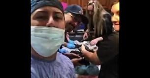 Pregnant Dog Has Secret In Giant Belly Leaving Everyone In Shock When Time To Deliver