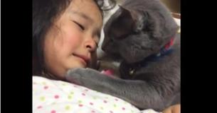 Adorable Kitty Can't Stand Moment Little Girl Breaks Down Crying, Comforts Her With Tiny Paw