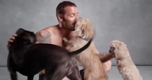 Terminal Man Makes Miraculous Recovery After 3 Abandoned Dogs Come Into His Life