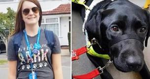 Buspassagier zei tegen blinde vrouw dat ze haar geleidehond uit de bus moest zetten omdat hij zwart was