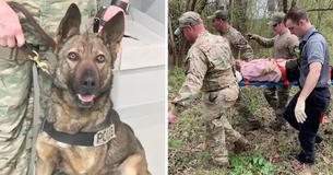 Hero Dog Rescues 90-Year-Old Woman With Dementia Who Got Lost In The Woods Overnight