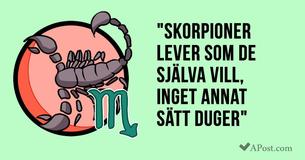 14 orsaker till varför Skorpionen är det bästa stjärntecknet
