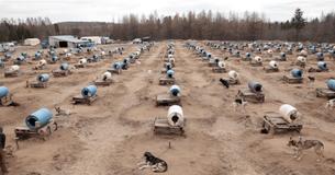 Op basis van een verschrikkelijk gerucht bespiedt een dierenactivist privéterrein en de werkelijkheid is erger dan hij hadden kunnen vermoeden