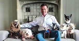 Man Visits Shelters Looking For Dogs That No One Wants, Eventually Adopts 10 Senior Canines