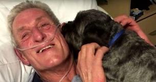 Als er bellte: Hund weckt Herrchen aus seinem künstlichen Koma