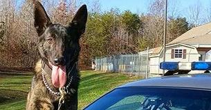 Parents Beg For Help In Finding 2 Missing Children Before Sunset. K9 Roots Them Out In 15 Minutes