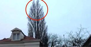 Ein Mann möchte einfach den Baum filmen. Doch dann passiert etwas, an das er sich noch lange erinnern wird 
