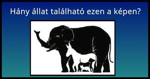 Mindenki mást mond arról, hogy mennyi állat látható ezen a képen. Te hányat találsz meg?