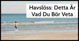 Havslöss: Vad Dom Är Och Hur Att Undvika