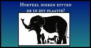 Niemand kan het eens worden over hoeveel dieren er in dit plaatje zitten. Hoeveel kun jij er vinden?