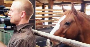 Man probeert lach in te houden tijdens filmen van paarden maar iedereen ligt in een deuk om wat de paarden doen