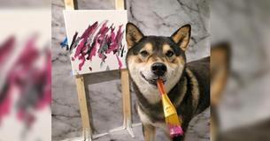 Gifted Shiba Inu Creates Beautiful Abstract Artworks And Sells Them Online