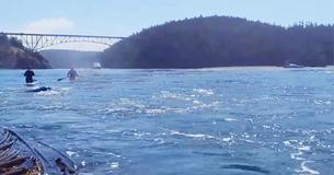 Paddle Boarder Captures Incredibly Rare Event By Chance: The Footage Is Incredible