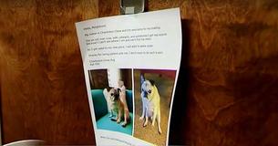 Les voisins ne cessaient d'entendre des bruits forts de la porte d'à côté, alors la maîtresse de maison a présenté des excuses sur la porte pour expliquer le comportement de son chien.