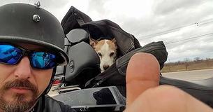Un motard décide de s'arrêter après avoir aperçu un petit chien se faire maltraité sur le bord de l'autoroute, 