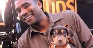 This UPS Driver Has Gone Viral for Posting Sweet Photos Of Dogs He Encounters On His Route