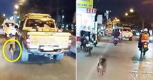 Moment déchirant: Un chien pourchasse la voiture de son propriétaire après avoir été abandonné dans la rue