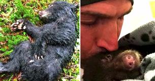 Man Risks Jail And Fine To Save Dying Baby Bear That He Found While Trekking