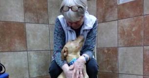 Woman Recognizes Kindred Spirit In Shelter Dog Who Shared Her Heart Condition